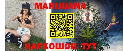 тгк Новозыбков