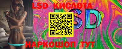 тгк Новозыбков