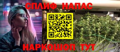 тгк Новозыбков